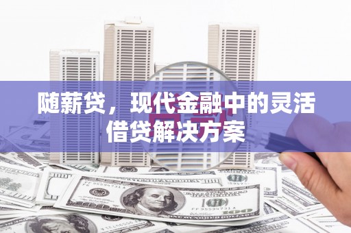 确山随薪贷，现代金融中的灵活借贷解决方案