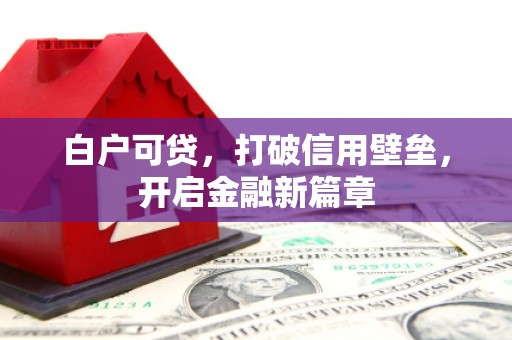 确山白户可贷，打破信用壁垒，开启金融新篇章
