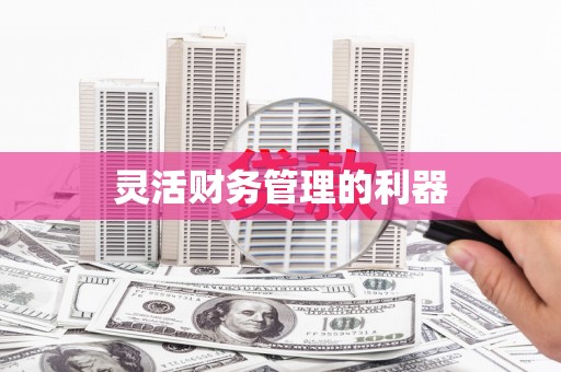 确山灵活财务管理的利器