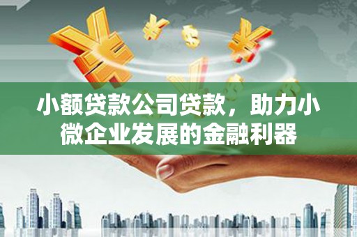确山小额贷款公司贷款，助力小微企业发展的金融利器