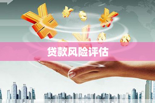确山贷款风险评估