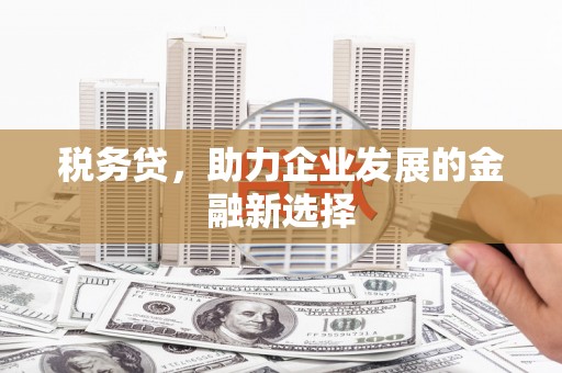 确山税务贷，助力企业发展的金融新选择