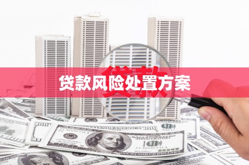 确山贷款风险处置方案