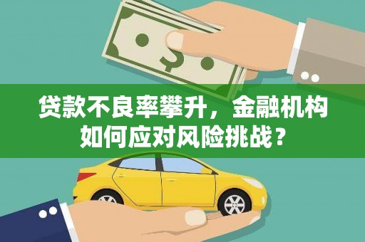 确山贷款不良率攀升，金融机构如何应对风险挑战？