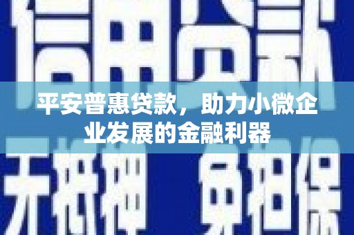 确山平安普惠贷款，助力小微企业发展的金融利器
