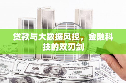 确山贷款与大数据风控，金融科技的双刃剑
