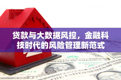 确山贷款与大数据风控，金融科技时代的风险管理新范式
