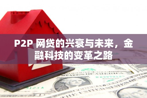 确山P2P 网贷的兴衰与未来，金融科技的变革之路