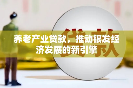 确山养老产业贷款，推动银发经济发展的新引擎