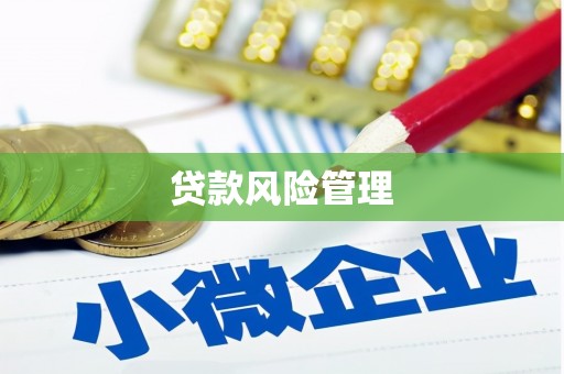确山贷款风险管理