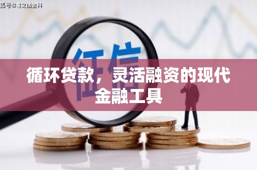 确山循环贷款，灵活融资的现代金融工具