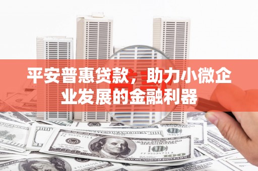 确山平安普惠贷款，助力小微企业发展的金融利器