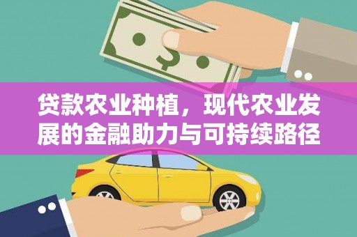 确山贷款农业种植，现代农业发展的金融助力与可持续路径