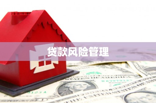 确山贷款风险管理