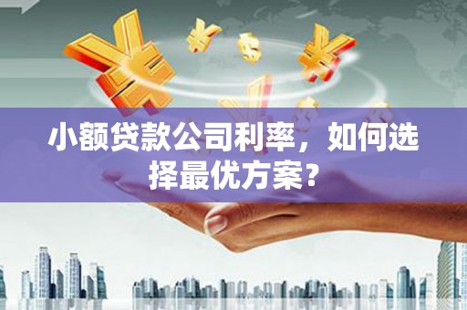 确山小额贷款公司利率，如何选择最优方案？