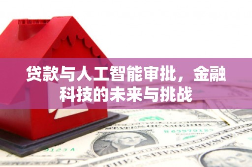 确山贷款与人工智能审批，金融科技的未来与挑战