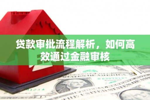 确山贷款审批流程解析，如何高效通过金融审核