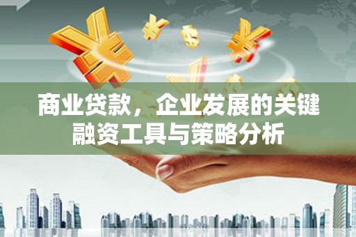 确山商业贷款，企业发展的关键融资工具与策略分析