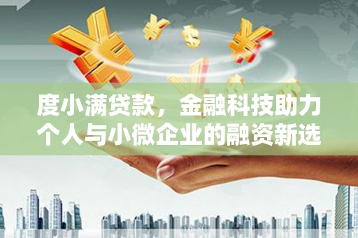 确山度小满贷款，金融科技助力个人与小微企业的融资新选择