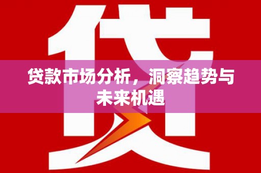 确山贷款市场分析，洞察趋势与未来机遇
