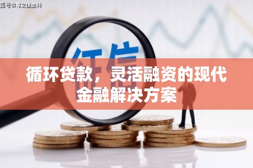 确山循环贷款，灵活融资的现代金融解决方案