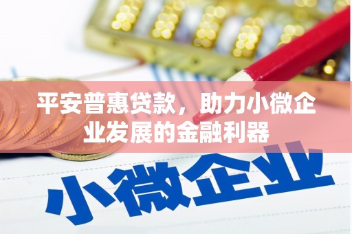 确山平安普惠贷款，助力小微企业发展的金融利器