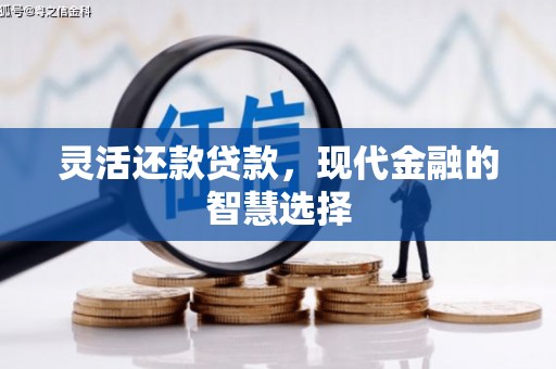 确山灵活还款贷款，现代金融的智慧选择