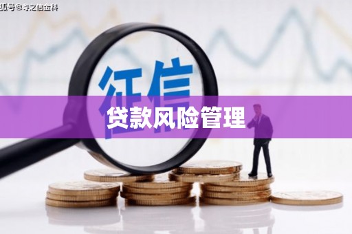 确山贷款风险管理