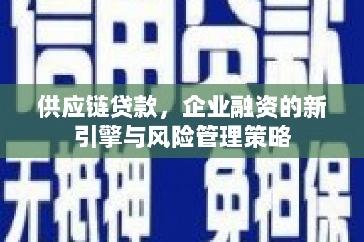确山供应链贷款，企业融资的新引擎与风险管理策略