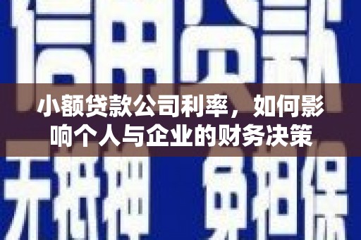 确山小额贷款公司利率，如何影响个人与企业的财务决策