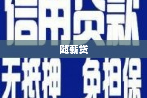 确山随薪贷