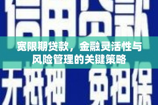确山宽限期贷款，金融灵活性与风险管理的关键策略