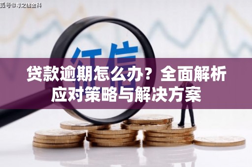 确山贷款逾期怎么办？全面解析应对策略与解决方案