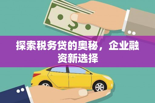 确山探索税务贷的奥秘，企业融资新选择