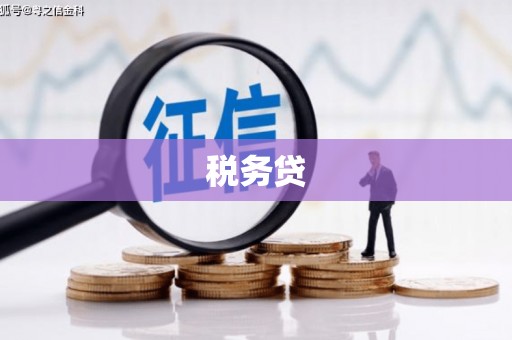确山税务贷