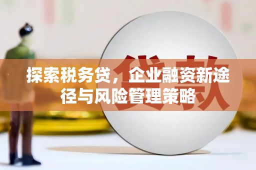 确山探索税务贷，企业融资新途径与风险管理策略