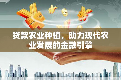 确山贷款农业种植，助力现代农业发展的金融引擎