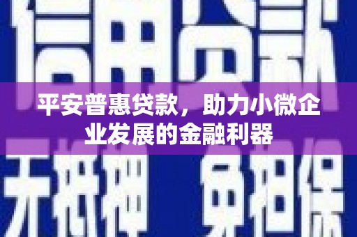 确山平安普惠贷款，助力小微企业发展的金融利器