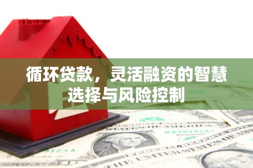 确山循环贷款，灵活融资的智慧选择与风险控制