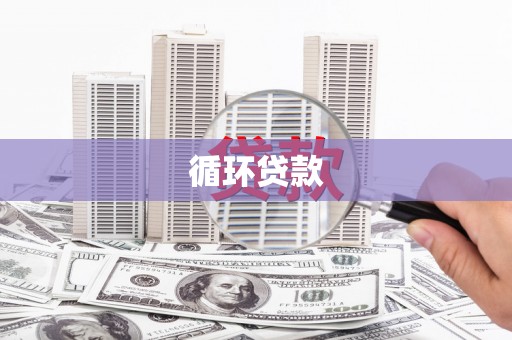 确山循环贷款