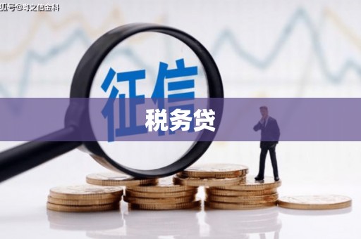 确山税务贷