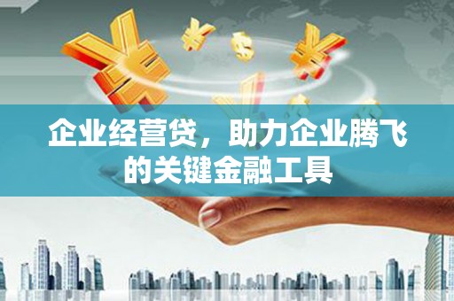 确山企业经营贷，助力企业腾飞的关键金融工具