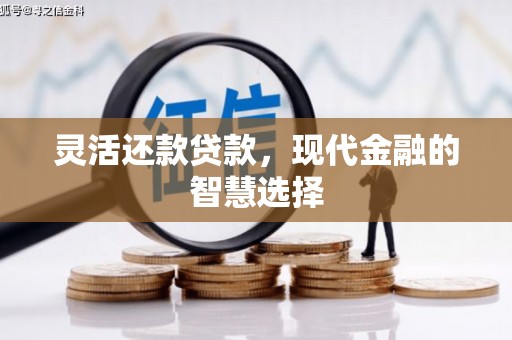 确山灵活还款贷款，现代金融的智慧选择