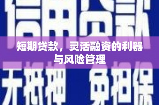 确山短期贷款，灵活融资的利器与风险管理