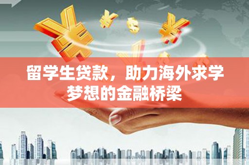 确山留学生贷款，助力海外求学梦想的金融桥梁