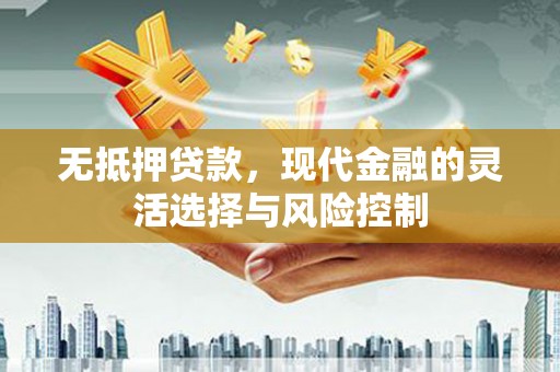 确山无抵押贷款，现代金融的灵活选择与风险控制
