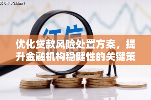 确山优化贷款风险处置方案，提升金融机构稳健性的关键策略