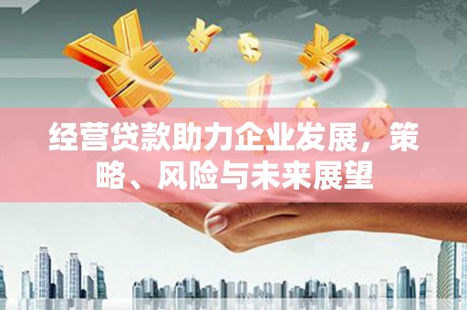 确山经营贷款助力企业发展，策略、风险与未来展望