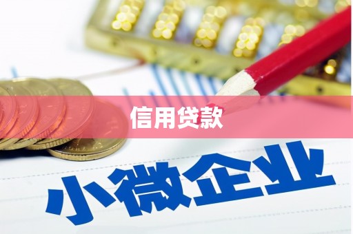 确山信用贷款