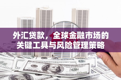 确山外汇贷款，全球金融市场的关键工具与风险管理策略